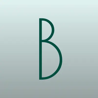 BFRR, компания, лого-визитка