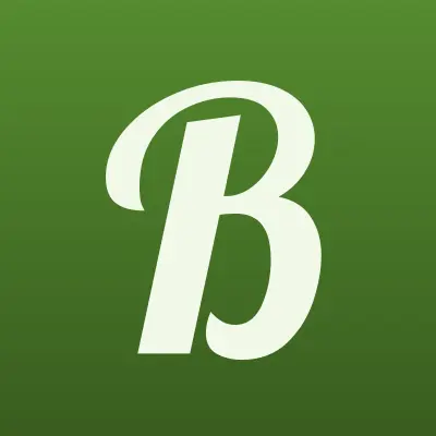 Бассейн Сервис, строительная компания, лого-визитка