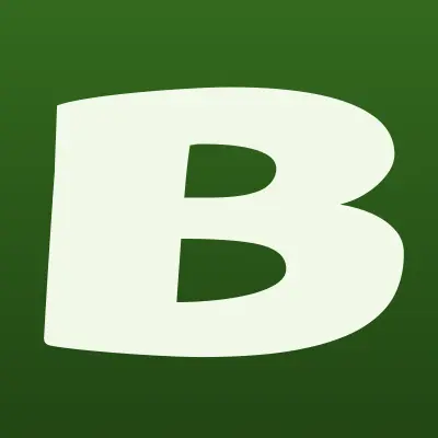 Bonita Pizza, пиццерия, лого-визитка
