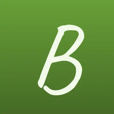Boxberry, лого-визитка