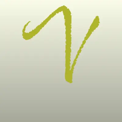 VIP carwash, автомойка, лого-визитка